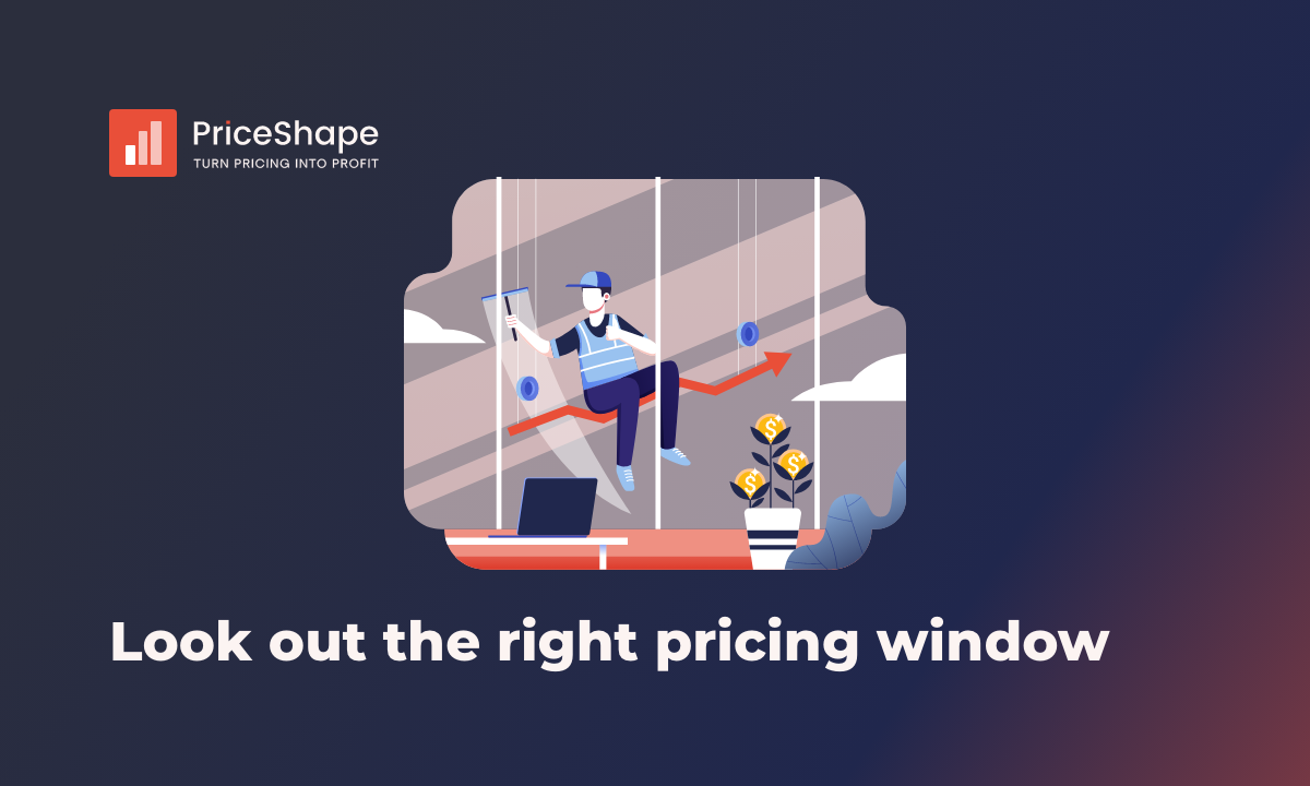 blog on pricing window